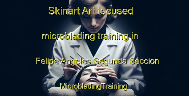 Skinart Art-focused microblading training in Felipe Angeles Segunda Seccion | #MicrobladingTraining #MicrobladingClasses #SkinartTraining-Mexico