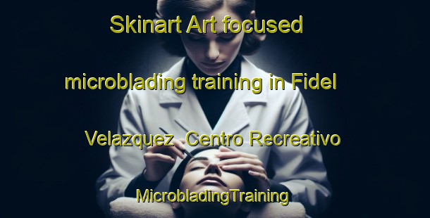 Skinart Art-focused microblading training in Fidel Velazquez  Centro Recreativo | #MicrobladingTraining #MicrobladingClasses #SkinartTraining-Mexico