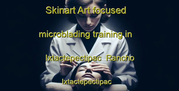 Skinart Art-focused microblading training in Ixtactepectipac  Rancho Ixtactepectipac | #MicrobladingTraining #MicrobladingClasses #SkinartTraining-Mexico