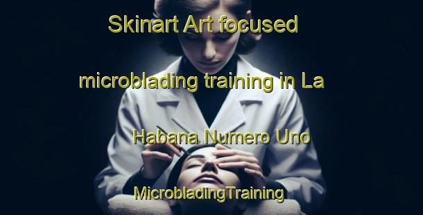 Skinart Art-focused microblading training in La Habana Numero Uno | #MicrobladingTraining #MicrobladingClasses #SkinartTraining-Mexico