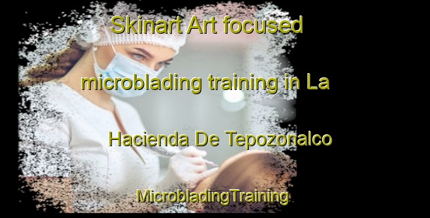 Skinart Art-focused microblading training in La Hacienda De Tepozonalco | #MicrobladingTraining #MicrobladingClasses #SkinartTraining-Mexico