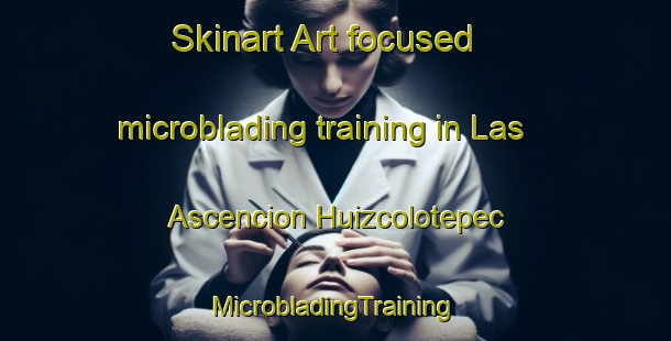 Skinart Art-focused microblading training in Las Ascencion Huizcolotepec | #MicrobladingTraining #MicrobladingClasses #SkinartTraining-Mexico