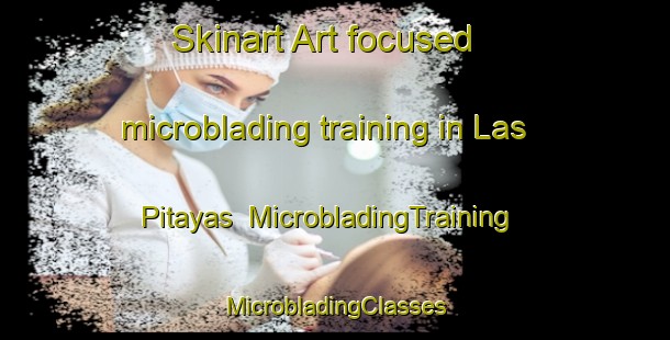 Skinart Art-focused microblading training in Las Pitayas | #MicrobladingTraining #MicrobladingClasses #SkinartTraining-Mexico