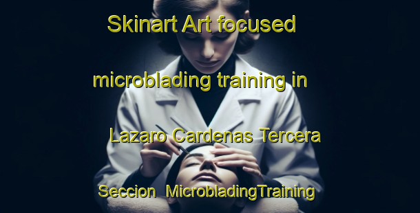 Skinart Art-focused microblading training in Lazaro Cardenas Tercera Seccion | #MicrobladingTraining #MicrobladingClasses #SkinartTraining-Mexico