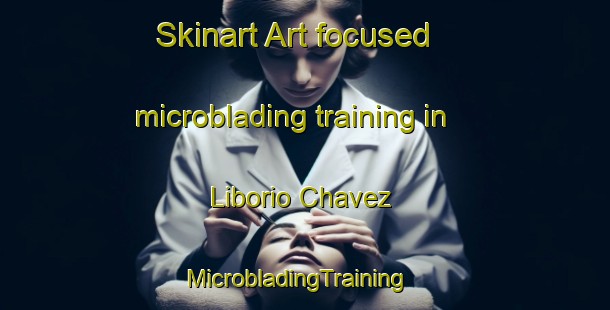 Skinart Art-focused microblading training in Liborio Chavez | MicrobladingTraining | MicrobladingClasses | SkinartTraining-Mexico