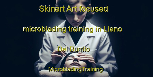 Skinart Art-focused microblading training in Llano Del Burrito | #MicrobladingTraining #MicrobladingClasses #SkinartTraining-Mexico