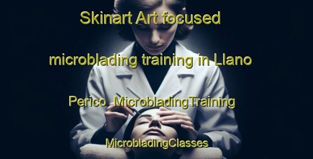 Skinart Art-focused microblading training in Llano Perico | #MicrobladingTraining #MicrobladingClasses #SkinartTraining-Mexico