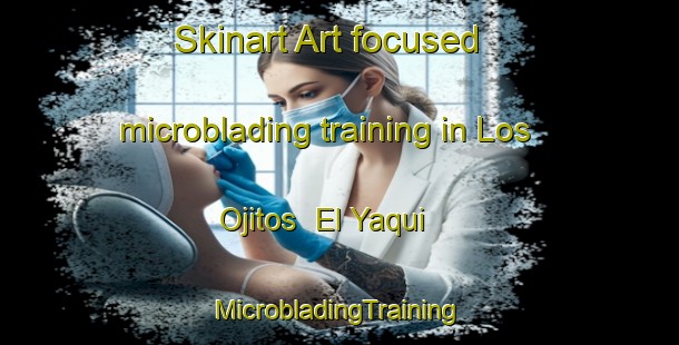 Skinart Art-focused microblading training in Los Ojitos  El Yaqui | #MicrobladingTraining #MicrobladingClasses #SkinartTraining-Mexico