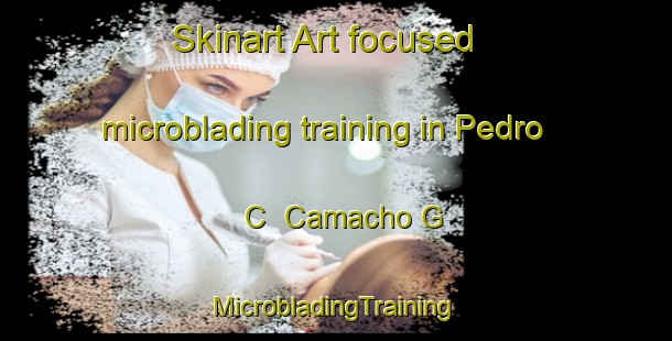 Skinart Art-focused microblading training in Pedro C  Camacho G | #MicrobladingTraining #MicrobladingClasses #SkinartTraining-Mexico