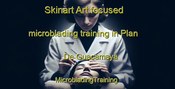 Skinart Art-focused microblading training in Plan De Guacamaya | #MicrobladingTraining #MicrobladingClasses #SkinartTraining-Mexico