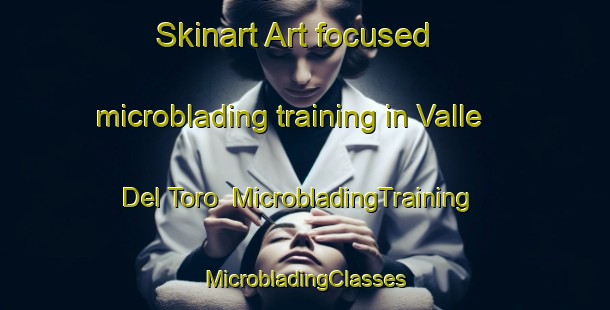 Skinart Art-focused microblading training in Valle Del Toro | #MicrobladingTraining #MicrobladingClasses #SkinartTraining-Mexico