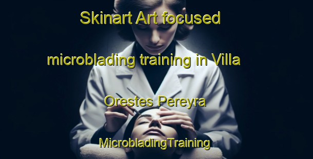 Skinart Art-focused microblading training in Villa Orestes Pereyra | #MicrobladingTraining #MicrobladingClasses #SkinartTraining-Mexico