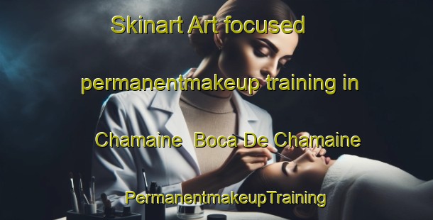 Skinart Art-focused permanentmakeup training in Chamaine  Boca De Chamaine | #PermanentmakeupTraining #PermanentmakeupClasses #SkinartTraining-Mexico