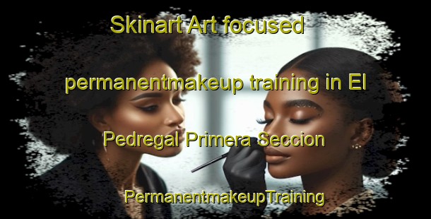 Skinart Art-focused permanentmakeup training in El Pedregal Primera Seccion | #PermanentmakeupTraining #PermanentmakeupClasses #SkinartTraining-Mexico