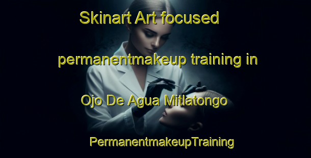 Skinart Art-focused permanentmakeup training in Ojo De Agua Mitlatongo | #PermanentmakeupTraining #PermanentmakeupClasses #SkinartTraining-Mexico