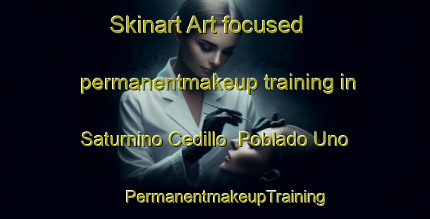 Skinart Art-focused permanentmakeup training in Saturnino Cedillo  Poblado Uno | #PermanentmakeupTraining #PermanentmakeupClasses #SkinartTraining-Mexico