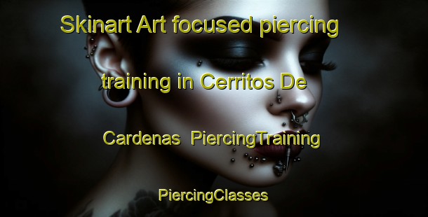 Skinart Art-focused piercing training in Cerritos De Cardenas | #PiercingTraining #PiercingClasses #SkinartTraining-Mexico