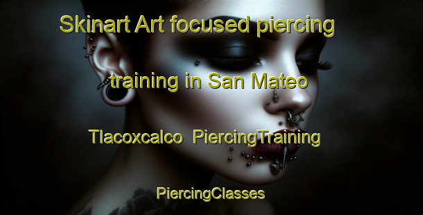 Skinart Art-focused piercing training in San Mateo Tlacoxcalco | #PiercingTraining #PiercingClasses #SkinartTraining-Mexico