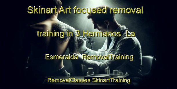 Skinart Art-focused removal training in 3 Hermanos  La Esmeralda | #RemovalTraining #RemovalClasses #SkinartTraining-Mexico