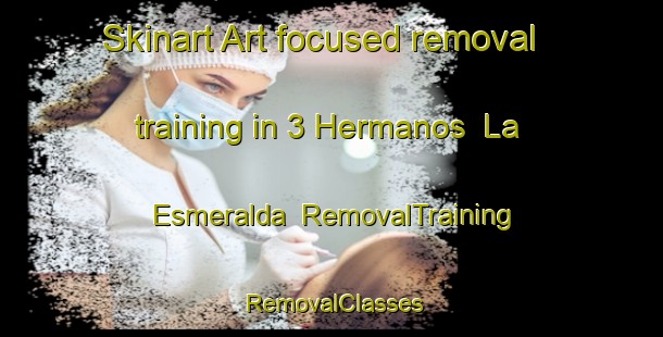 Skinart Art-focused removal training in 3 Hermanos  La Esmeralda | RemovalTraining | RemovalClasses | SkinartTraining-Mexico