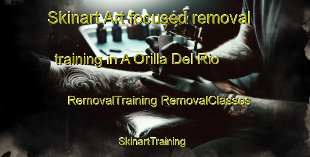 Skinart Art-focused removal training in A Orilla Del Rio | #RemovalTraining #RemovalClasses #SkinartTraining-Mexico