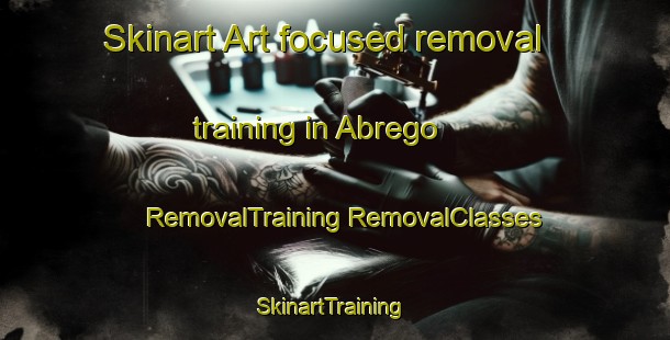 Skinart Art-focused removal training in Abrego | #RemovalTraining #RemovalClasses #SkinartTraining-Mexico