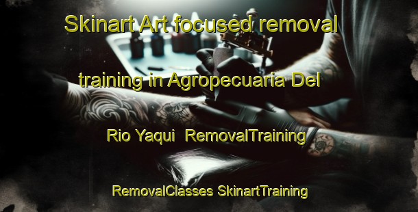 Skinart Art-focused removal training in Agropecuaria Del Rio Yaqui | #RemovalTraining #RemovalClasses #SkinartTraining-Mexico