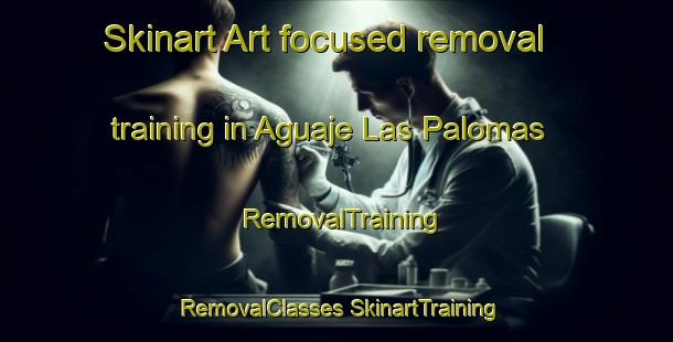 Skinart Art-focused removal training in Aguaje Las Palomas | #RemovalTraining #RemovalClasses #SkinartTraining-Mexico