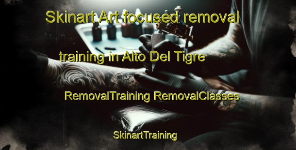 Skinart Art-focused removal training in Alto Del Tigre | #RemovalTraining #RemovalClasses #SkinartTraining-Mexico