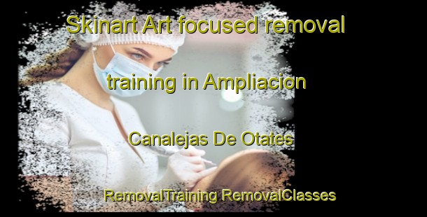 Skinart Art-focused removal training in Ampliacion Canalejas De Otates | #RemovalTraining #RemovalClasses #SkinartTraining-Mexico