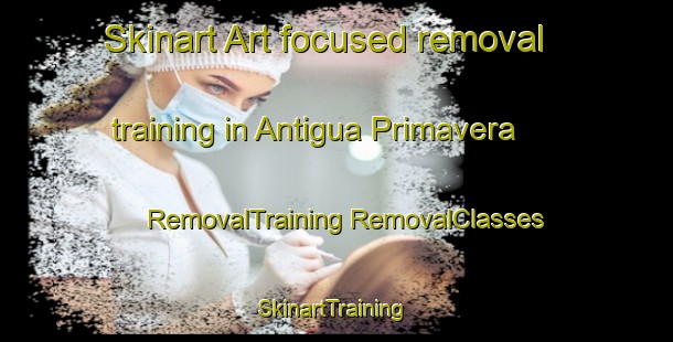 Skinart Art-focused removal training in Antigua Primavera | #RemovalTraining #RemovalClasses #SkinartTraining-Mexico