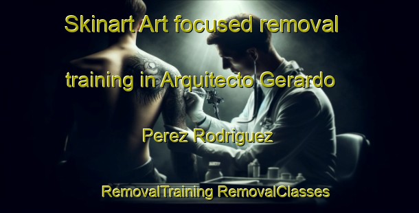 Skinart Art-focused removal training in Arquitecto Gerardo Perez Rodriguez | #RemovalTraining #RemovalClasses #SkinartTraining-Mexico