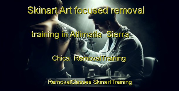 Skinart Art-focused removal training in Atlimatla  Sierra Chica | #RemovalTraining #RemovalClasses #SkinartTraining-Mexico