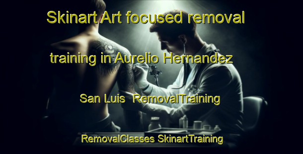 Skinart Art-focused removal training in Aurelio Hernandez  San Luis | #RemovalTraining #RemovalClasses #SkinartTraining-Mexico