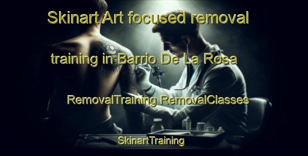 Skinart Art-focused removal training in Barrio De La Rosa | #RemovalTraining #RemovalClasses #SkinartTraining-Mexico