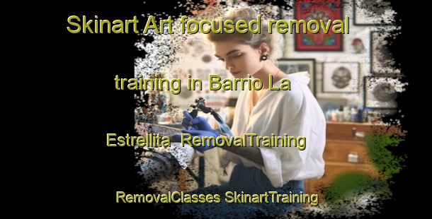 Skinart Art-focused removal training in Barrio La Estrellita | #RemovalTraining #RemovalClasses #SkinartTraining-Mexico