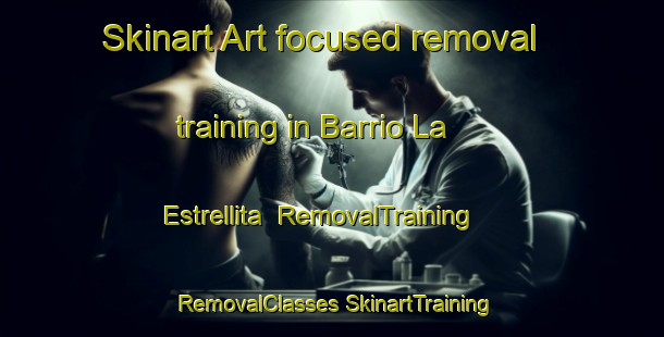 Skinart Art-focused removal training in Barrio La Estrellita | #RemovalTraining #RemovalClasses #SkinartTraining-Mexico