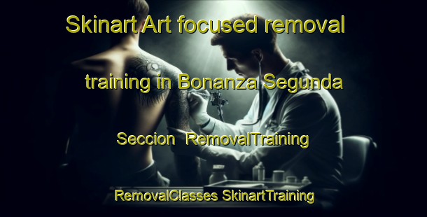 Skinart Art-focused removal training in Bonanza Segunda Seccion | #RemovalTraining #RemovalClasses #SkinartTraining-Mexico