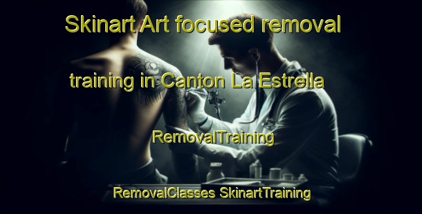 Skinart Art-focused removal training in Canton La Estrella | #RemovalTraining #RemovalClasses #SkinartTraining-Mexico