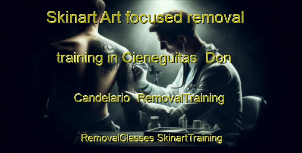 Skinart Art-focused removal training in Cieneguitas  Don Candelario | #RemovalTraining #RemovalClasses #SkinartTraining-Mexico