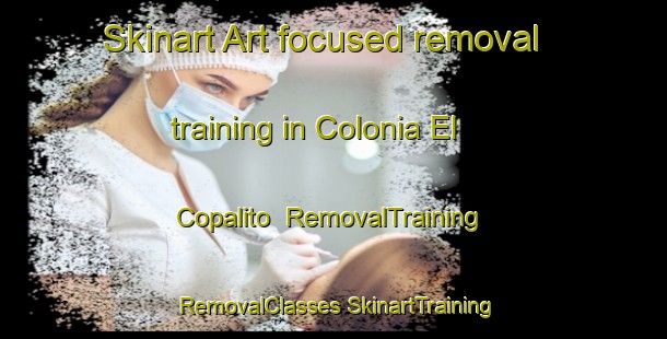 Skinart Art-focused removal training in Colonia El Copalito | #RemovalTraining #RemovalClasses #SkinartTraining-Mexico