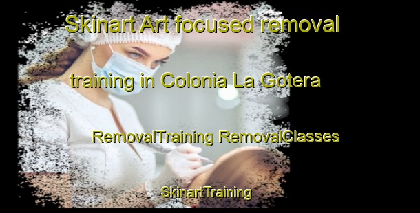 Skinart Art-focused removal training in Colonia La Gotera | #RemovalTraining #RemovalClasses #SkinartTraining-Mexico