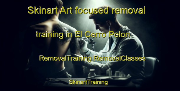 Skinart Art-focused removal training in El Cerro Pelon | #RemovalTraining #RemovalClasses #SkinartTraining-Mexico