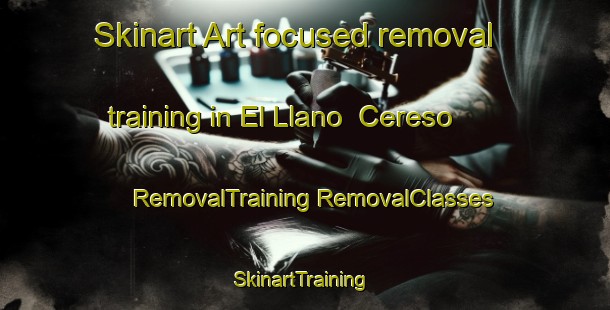 Skinart Art-focused removal training in El Llano  Cereso | #RemovalTraining #RemovalClasses #SkinartTraining-Mexico