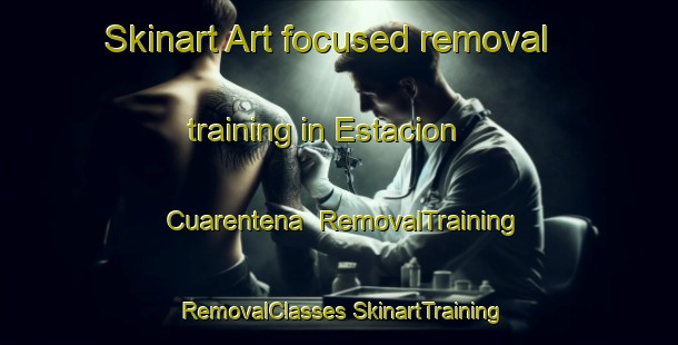 Skinart Art-focused removal training in Estacion Cuarentena | #RemovalTraining #RemovalClasses #SkinartTraining-Mexico