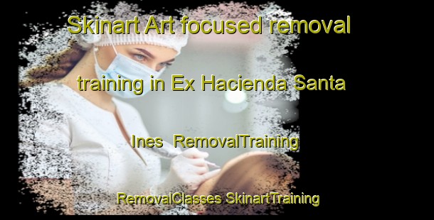 Skinart Art-focused removal training in Ex Hacienda Santa Ines | #RemovalTraining #RemovalClasses #SkinartTraining-Mexico