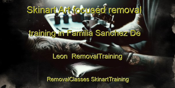 Skinart Art-focused removal training in Familia Sanchez De Leon | #RemovalTraining #RemovalClasses #SkinartTraining-Mexico