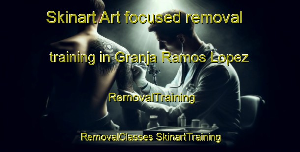 Skinart Art-focused removal training in Granja Ramos Lopez | #RemovalTraining #RemovalClasses #SkinartTraining-Mexico