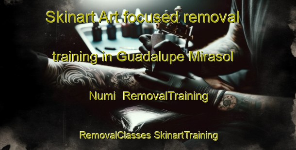 Skinart Art-focused removal training in Guadalupe Mirasol Numi | #RemovalTraining #RemovalClasses #SkinartTraining-Mexico