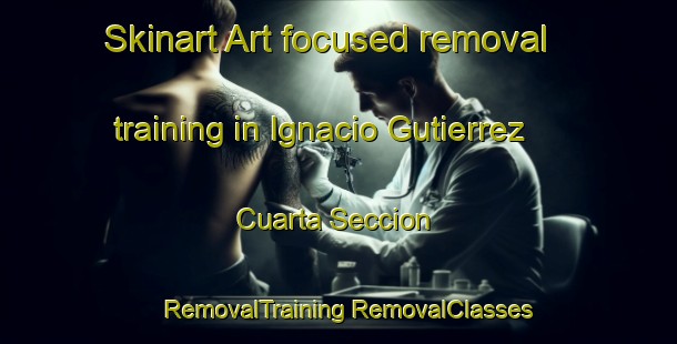 Skinart Art-focused removal training in Ignacio Gutierrez Cuarta Seccion | #RemovalTraining #RemovalClasses #SkinartTraining-Mexico